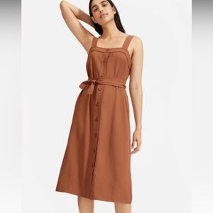 Everlane Japanese GoWeave Picnic Dress in Cocoa Brown. Never worn.